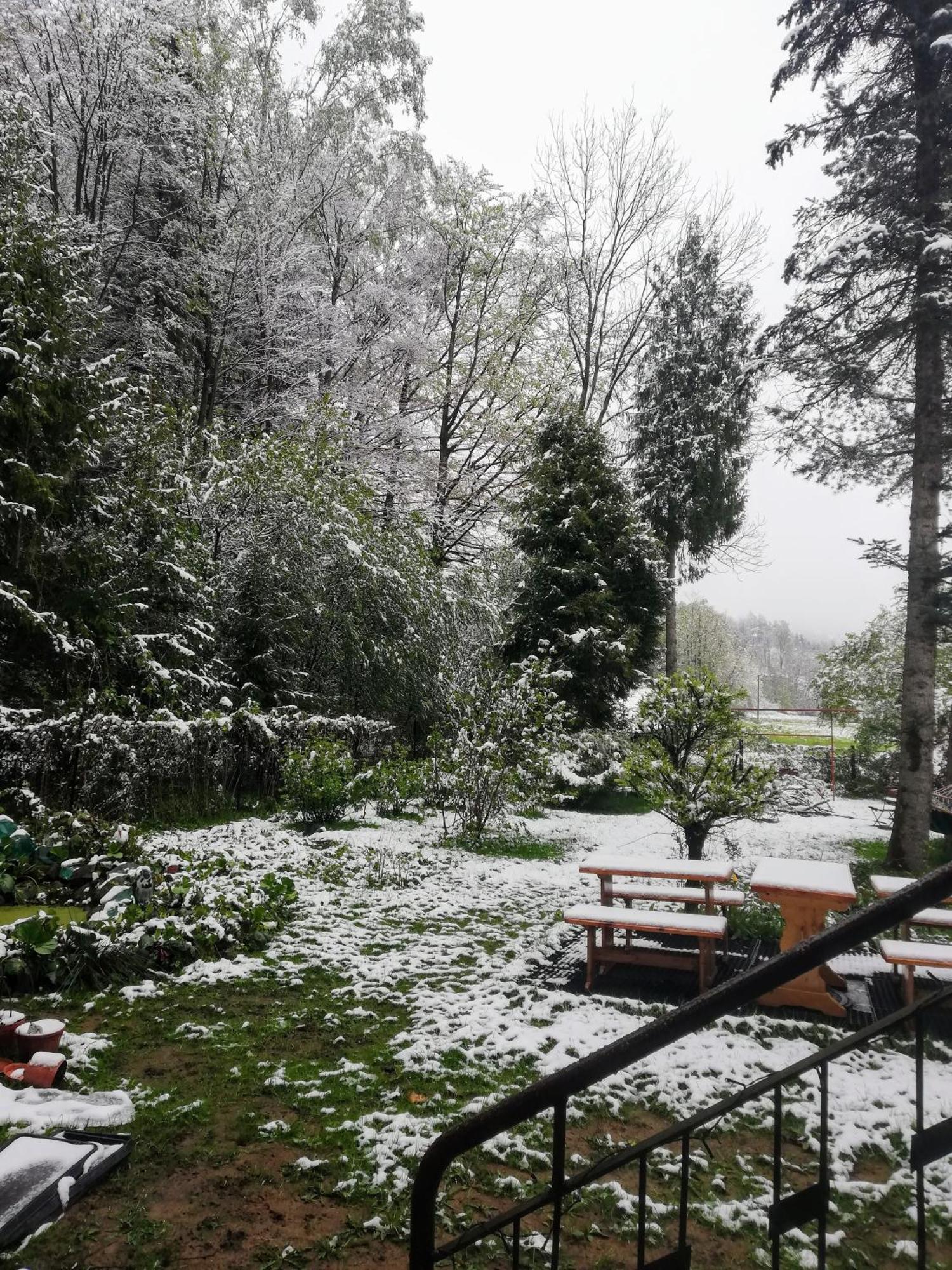 Mieszkanie W Gorach W Domu Prywatnym W Beskidzie Zywieckim 25Km Od Zywca Apartamento Koszarawa Exterior foto